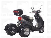 ROAD RUNNER (PST50-4)