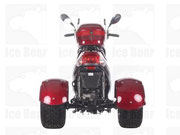 ROAD RUNNER (PST50-4)